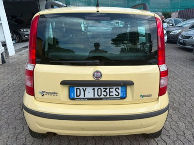 Fiat Panda 1.2 Dynamic Natural Power (4)