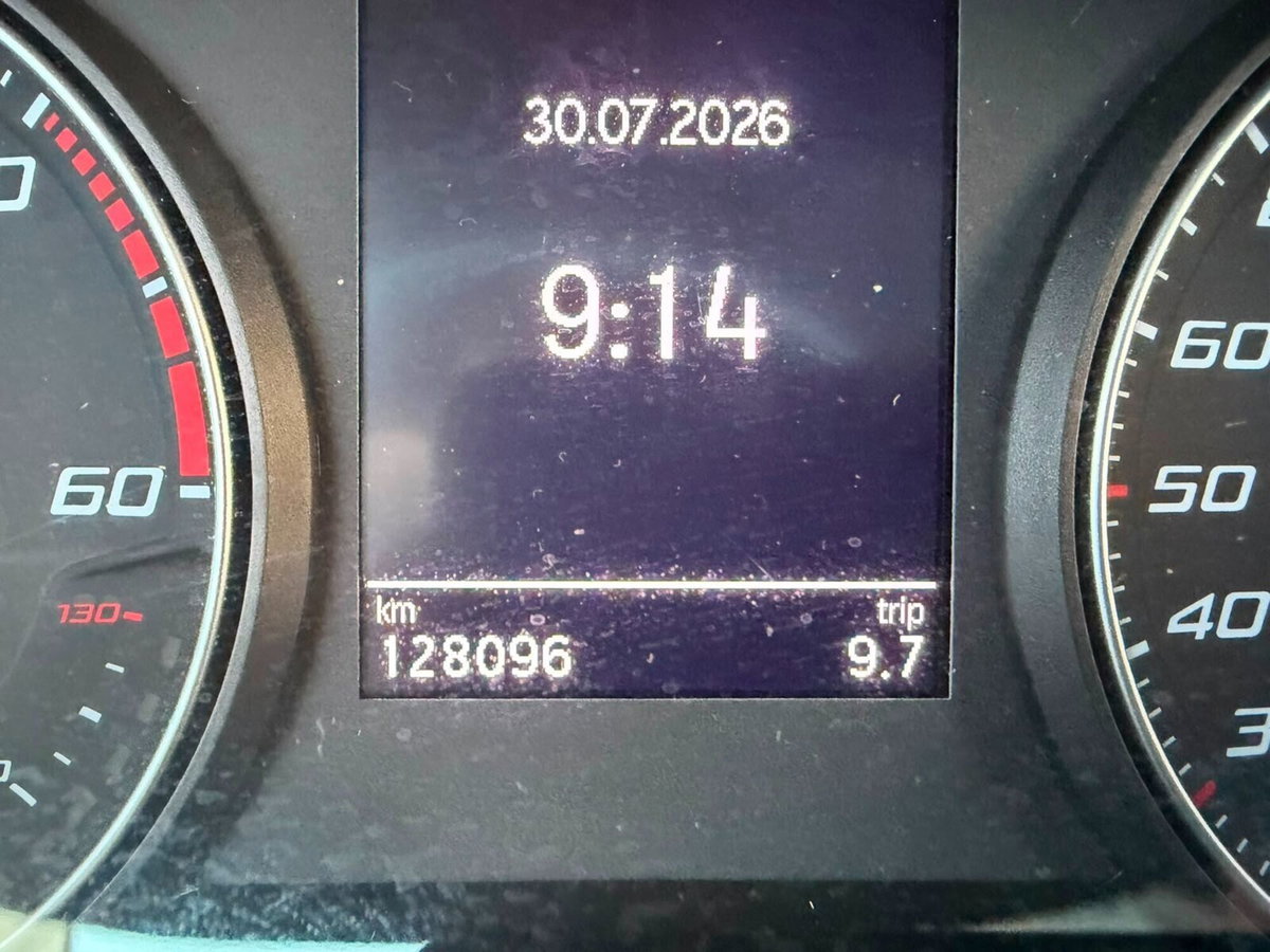 SEAT Ibiza 1.6 TDI 95 CV 5 porte XCELLENCE (15)
