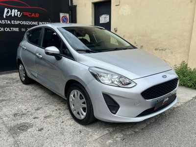 Ford Fiesta 1.1 75 CV 5 porte Plus (2)