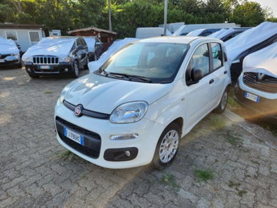 Fiat Panda 1.3 MJT 80 CV S&S Lounge usata
