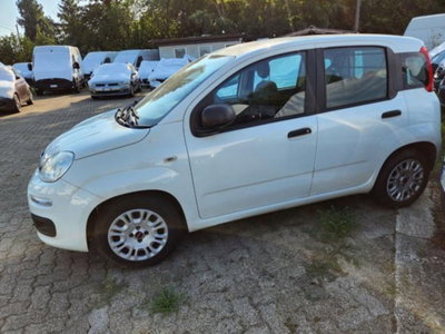 Fiat Panda 1.3 MJT 80 CV S&S Lounge (5)