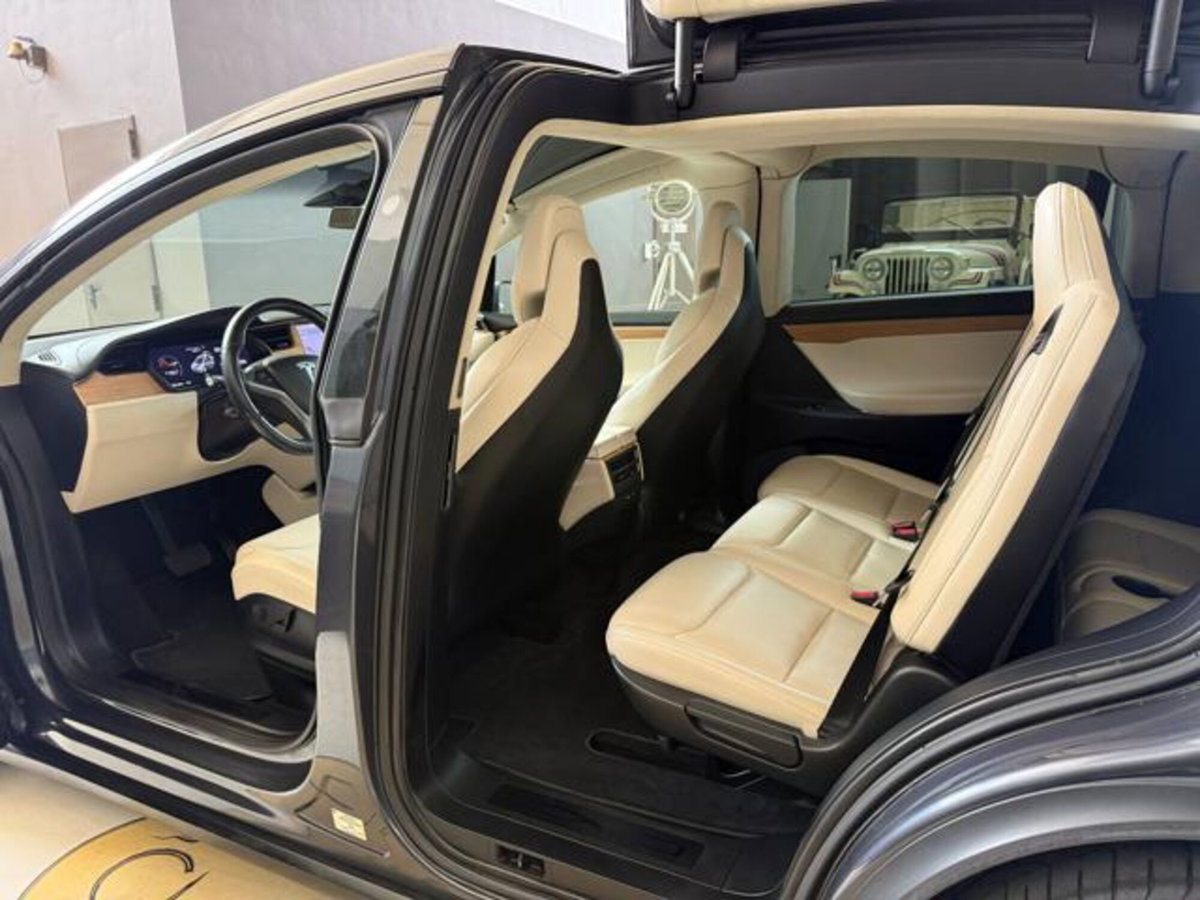 Tesla Model X Model X Long Range AWD (10)