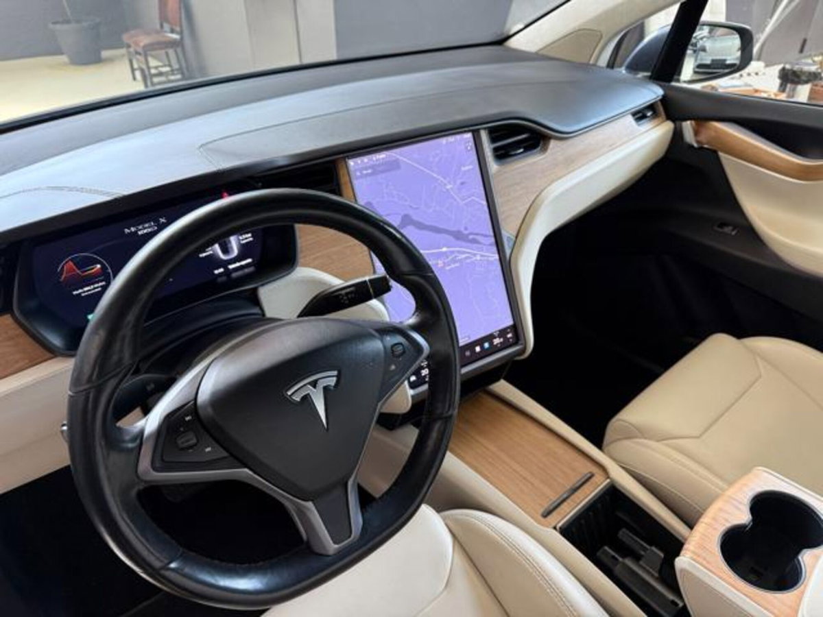 Tesla Model X Model X Long Range AWD (12)