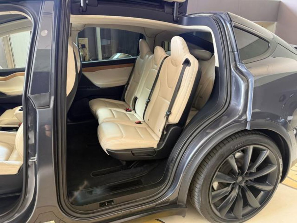 Tesla Model X Model X Long Range AWD (16)