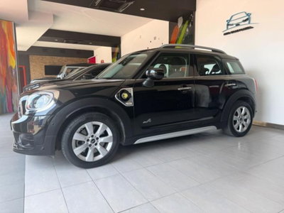 MINI Mini Countryman 1.5 Cooper Countryman ALL4 Automatica (6)