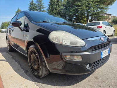Fiat Punto Evo 1.3 Mjt 75 CV 5 porte Dynamic usata