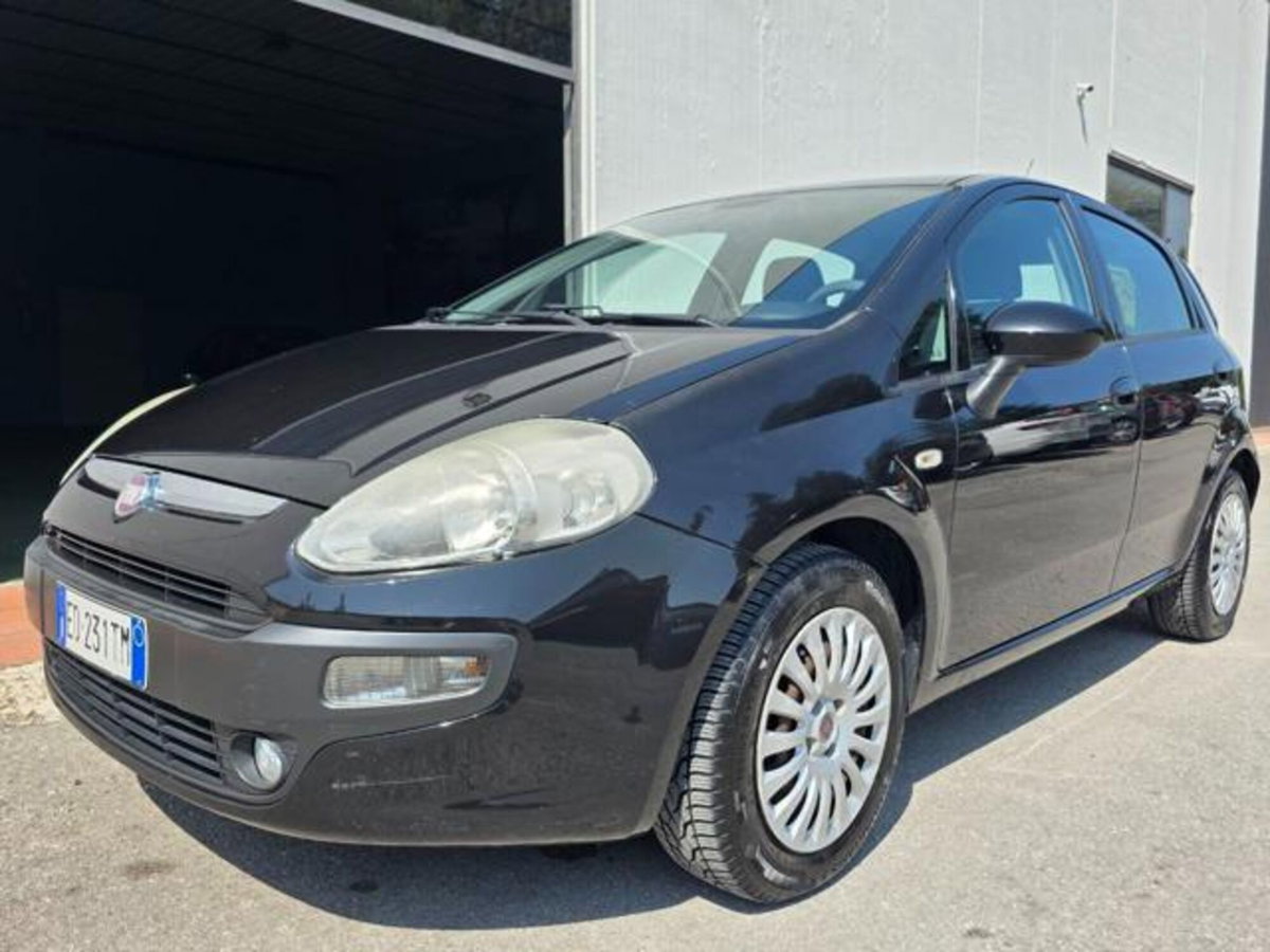 Fiat Punto Evo 1.3 Mjt 75 CV 5 porte Dynamic (3)
