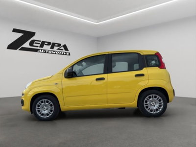 Fiat Pandina 1.0 firefly hybrid Pop s&s 65cv (2)