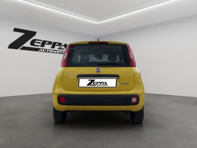 Fiat Pandina 1.0 firefly hybrid Pop s&s 65cv (4)