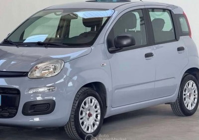 Fiat Panda 1.2 Easy usata