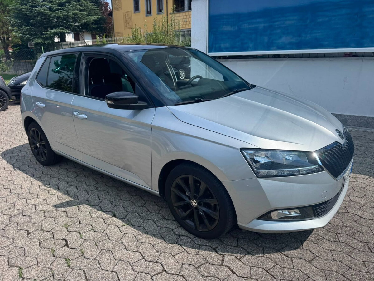 Skoda Fabia 1.0 MPI 60 CV Twin Color Design Edition Argento (2)