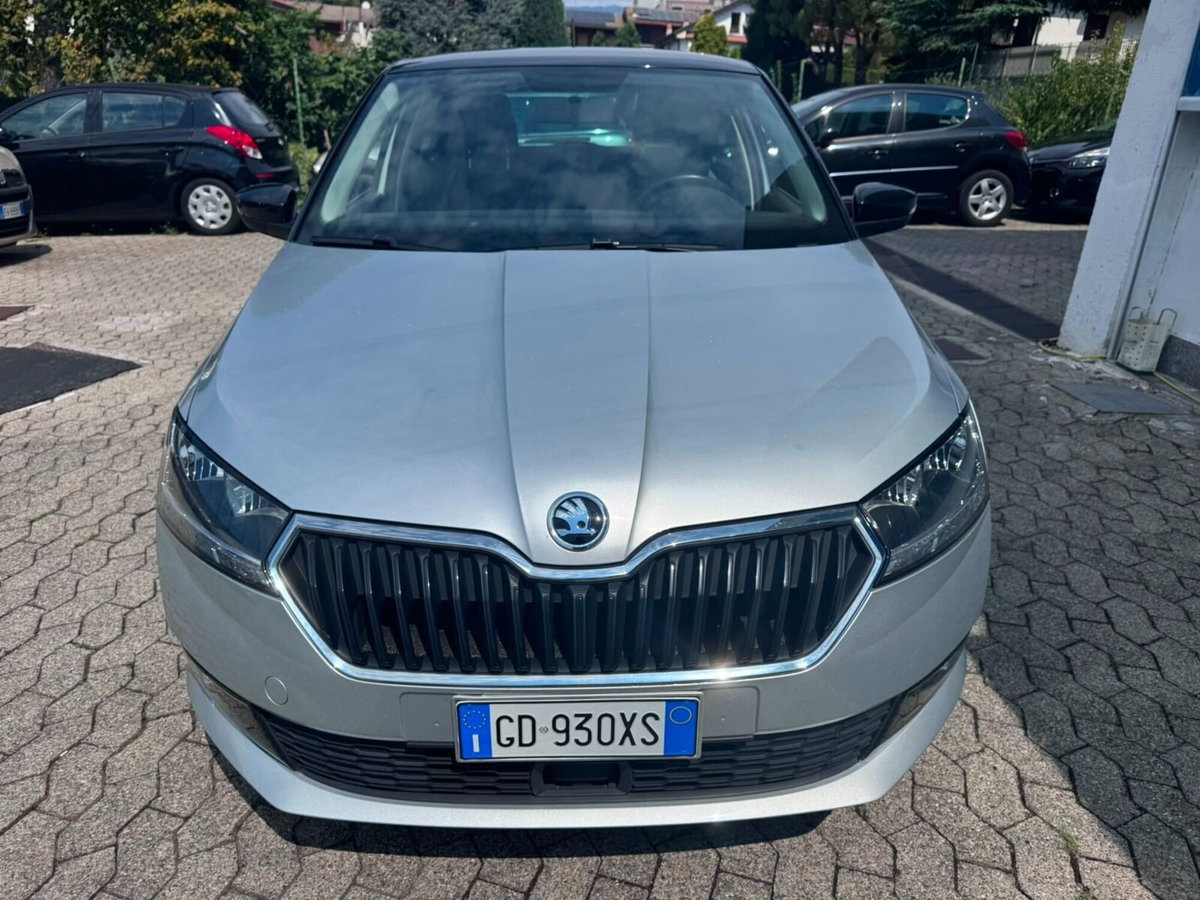 Skoda Fabia 1.0 MPI 60 CV Twin Color Design Edition Argento (3)