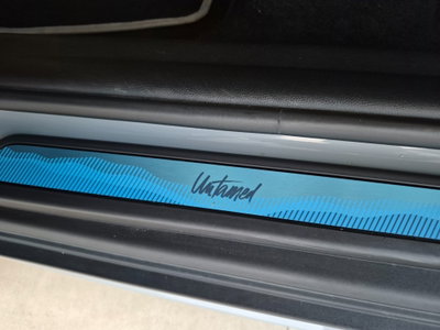 MINI Mini Countryman 1.5 Cooper SE Untamed Edition Countryman ALL4 (14)