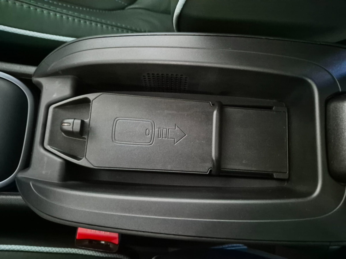 MINI Mini Countryman 1.5 Cooper SE Untamed Edition Countryman ALL4 (19)