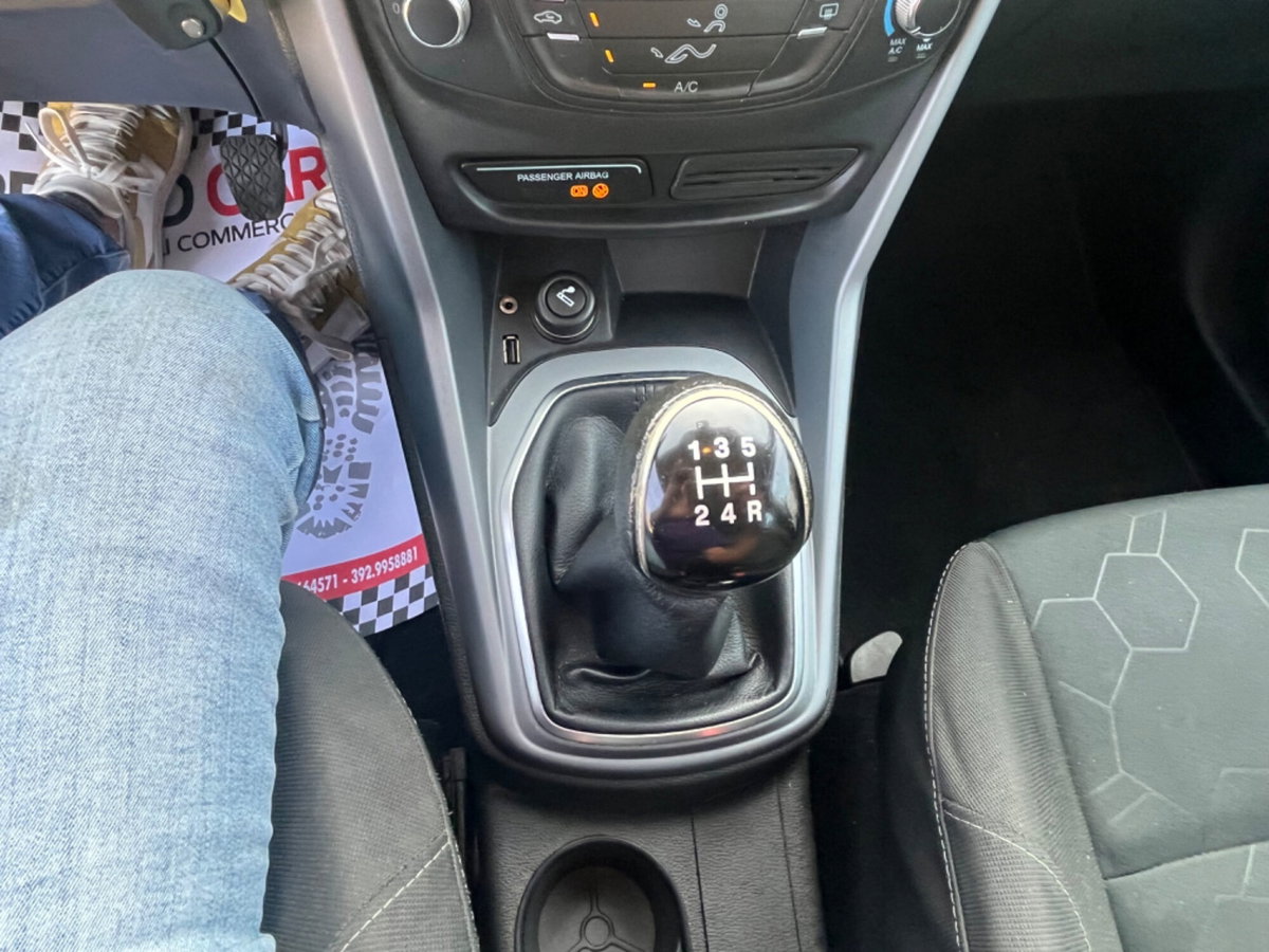 Ford B-Max B-Max 1.6 TDCi 95 CV Titanium (17)