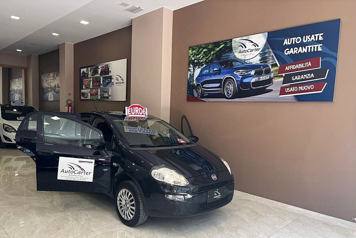 Fiat Punto 1.4 8V 5 porte Natural Power Street (18)