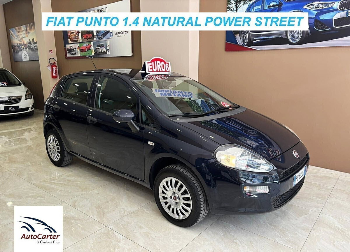 Fiat Punto 1.4 8V 5 porte Natural Power Street (3)