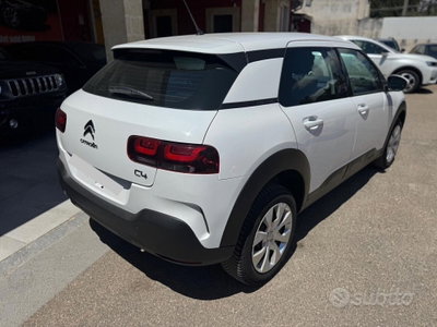 Citroen C4 Cactus BlueHDi 100 S&S Feel (5)