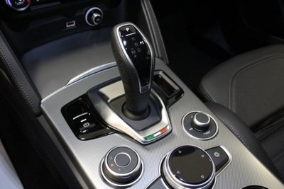 Alfa Romeo Stelvio Stelvio 2.2 Turbodiesel 210 CV AT8 Q4 Veloce (19)