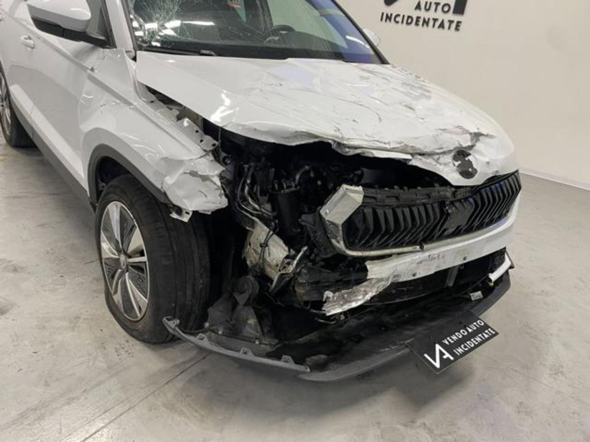 Skoda Karoq 2.0 TDI EVO SCR 115 CV DSG Executive (10)