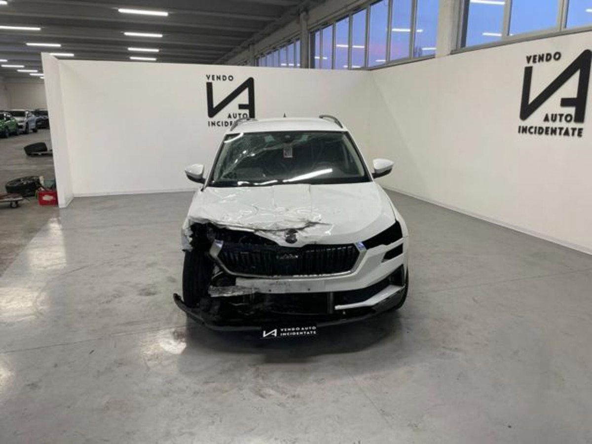 Skoda Karoq 2.0 TDI EVO SCR 115 CV DSG Executive (2)