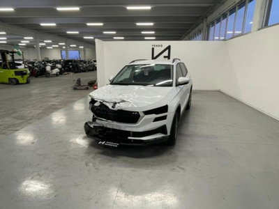 Skoda Karoq 2.0 TDI EVO SCR 115 CV DSG Executive (3)