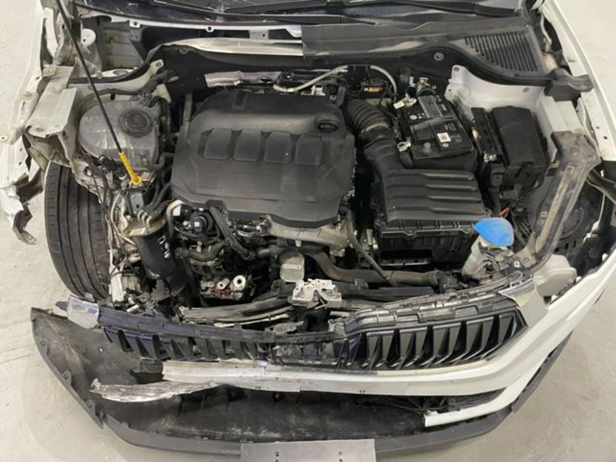 Skoda Karoq 2.0 TDI EVO SCR 115 CV DSG Executive (9)