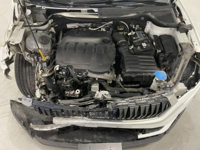 Skoda Karoq 2.0 TDI EVO SCR 115 CV DSG Executive (9)
