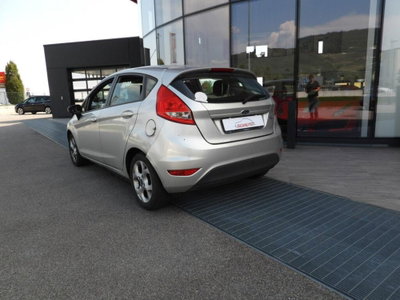 Ford Fiesta Ikon 1.4 TDCi 70CV 5 porte (3)