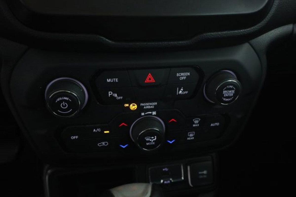 Jeep Renegade 1.3 T4 DDCT Limited (12)