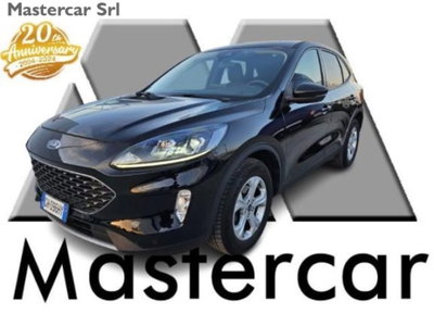 Ford Kuga 1.5 EcoBlue 120 CV 2WD ST-Line usata