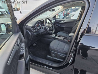Ford Kuga 1.5 EcoBlue 120 CV 2WD ST-Line (10)