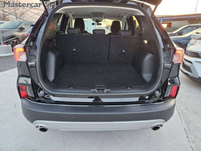 Ford Kuga 1.5 EcoBlue 120 CV 2WD ST-Line (15)