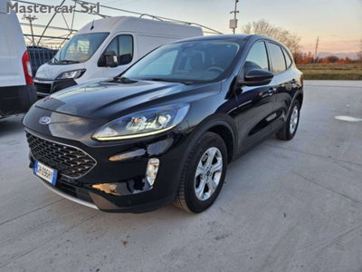 Ford Kuga 1.5 EcoBlue 120 CV 2WD ST-Line (2)