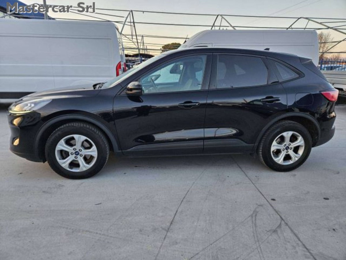 Ford Kuga 1.5 EcoBlue 120 CV 2WD ST-Line (3)