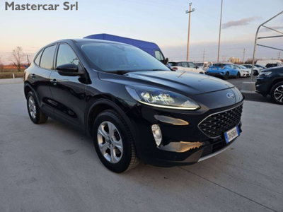 Ford Kuga 1.5 EcoBlue 120 CV 2WD ST-Line (8)