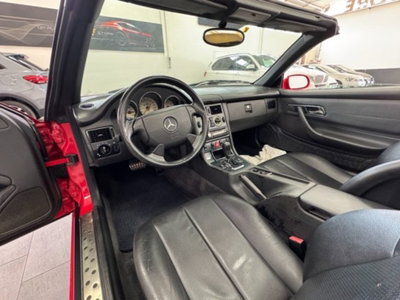 Mercedes-Benz SLK 200 cat (12)