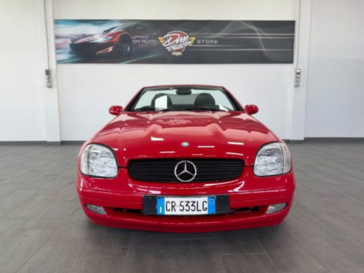Mercedes-Benz SLK 200 cat (2)
