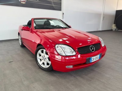 Mercedes-Benz SLK 200 cat (3)