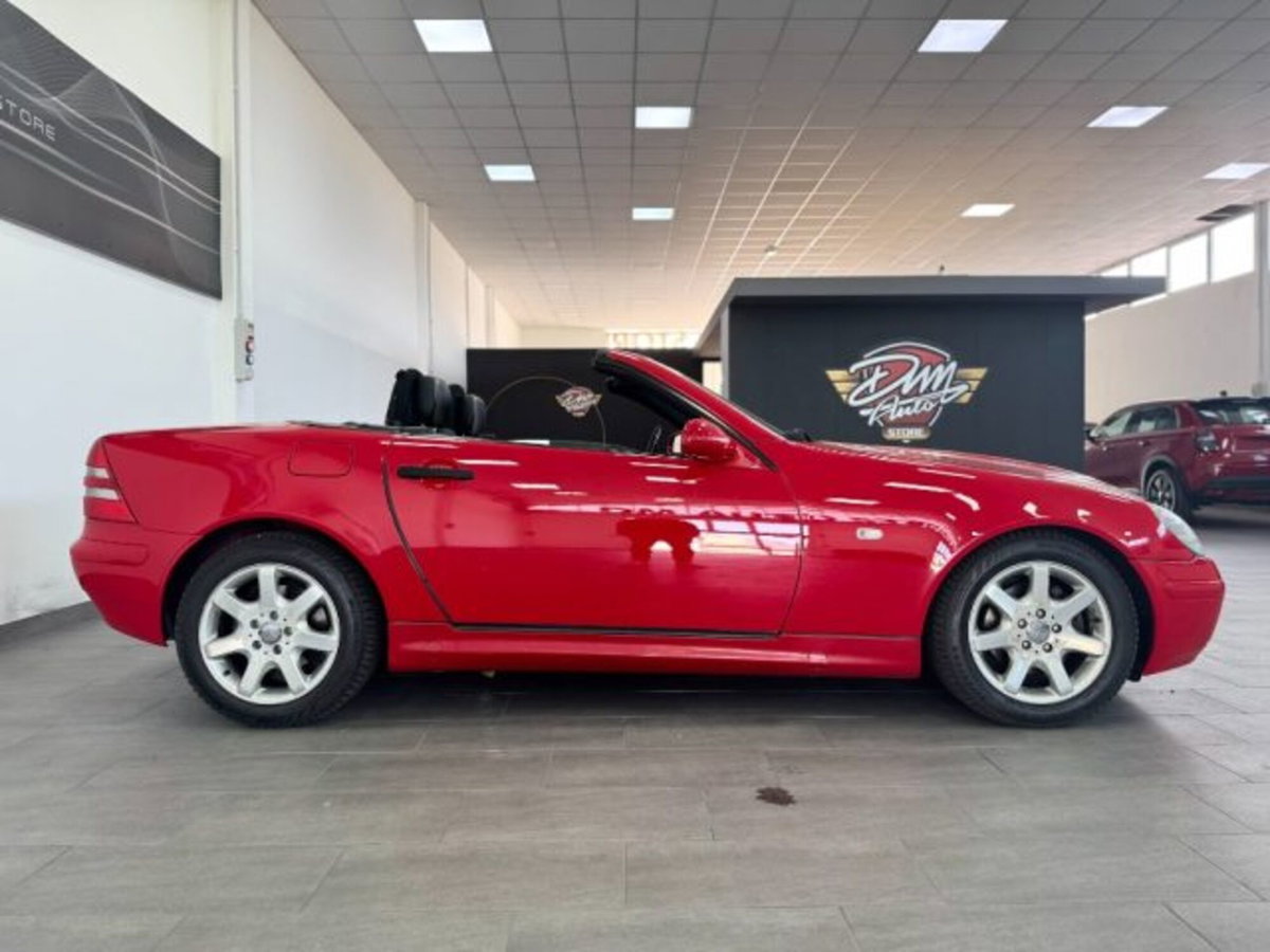 Mercedes-Benz SLK 200 cat (4)
