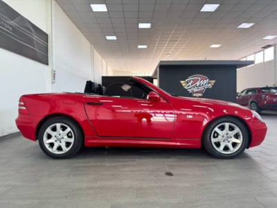 Mercedes-Benz SLK 200 cat (4)