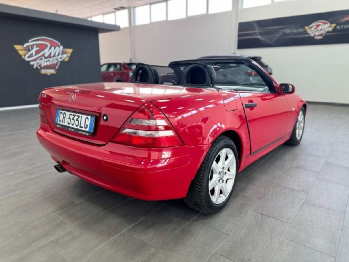 Mercedes-Benz SLK 200 cat (5)