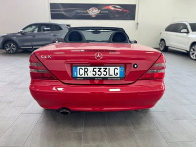 Mercedes-Benz SLK 200 cat (6)