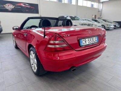 Mercedes-Benz SLK 200 cat (7)