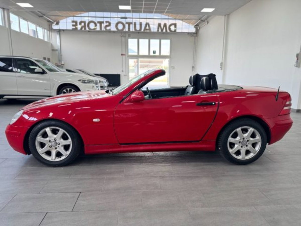 Mercedes-Benz SLK 200 cat (8)