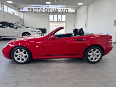 Mercedes-Benz SLK 200 cat (8)