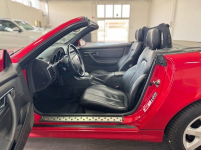 Mercedes-Benz SLK 200 cat (9)