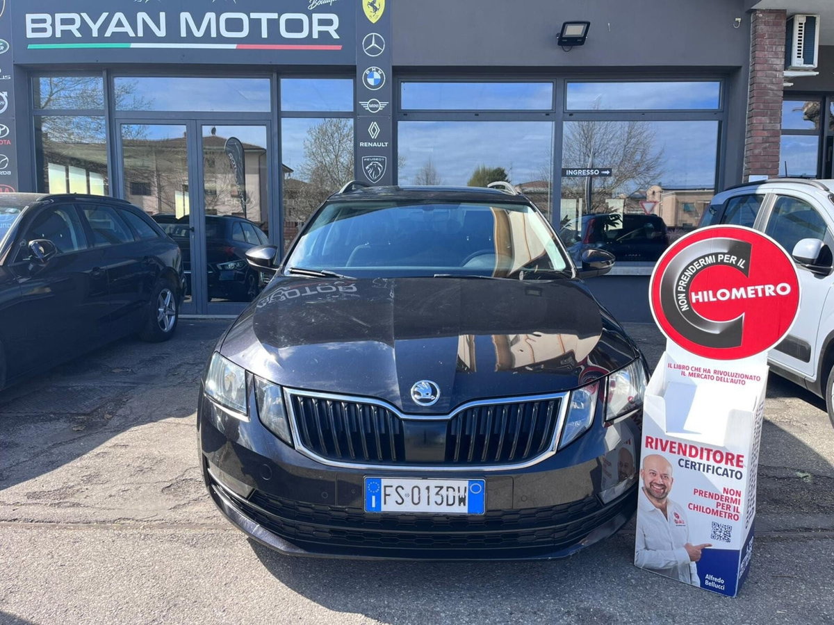 Skoda Octavia Station Wagon 1.6 TDI CR 115 CV Wagon Executive (2)