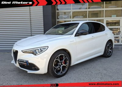 Alfa Romeo Stelvio Stelvio 2.2 Turbodiesel 210 CV AT8 Q4 Veloce usata