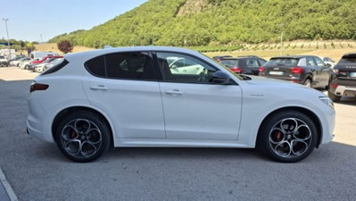 Alfa Romeo Stelvio Stelvio 2.2 Turbodiesel 210 CV AT8 Q4 Veloce (3)